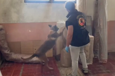 Kastamonu’da 19 ayrı noktada eş zamanlı narkotik operasyonu: 15 gözaltı
