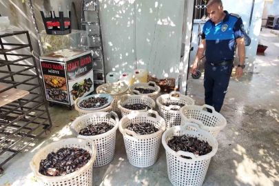 Mersin’de 200 kilo bozuk midye dolması ele geçirildi
