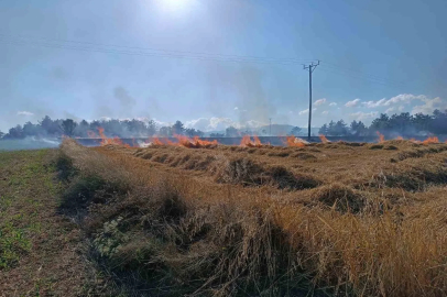 Kastamonu’da çıkan yangında 13 dönümlük tarar zarar gördü
