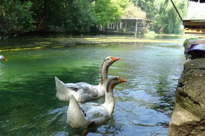 Akyaka’yı aratmayan Bucak Vadisi doğaseverlerin gözdesi
