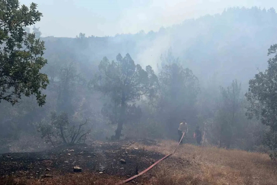 Bursa’da orman yangınına havadan ve karadan müdahale
