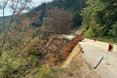 Bolu’da heyelan nedeniyle Taşkesti-Abant yolu 1 aydır kapalı
