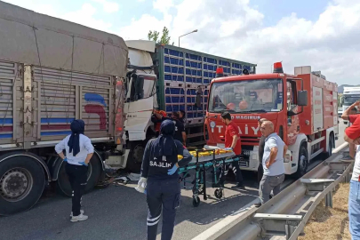 Tavuk yüklü tır, önündeki kamyona çarptı: 2 yaralı
