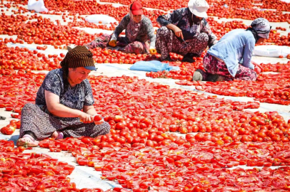 Torbalı’da "Kırmızı Altın" mesaisi

