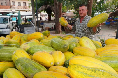 Tavan arasından çıkan tohumlar Altınbaş Kavununu yeniden canlandırdı
