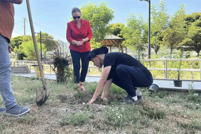 Konut dokunulmazlığını ihlal etti, adliye bahçesine 10 fidan dikti
