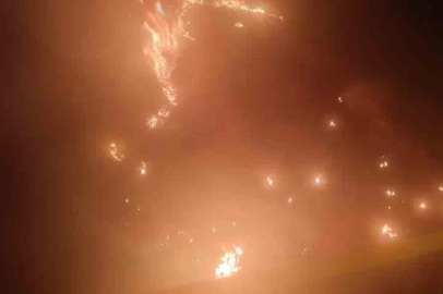 Karacabey’de ormanlık alanda yangın paniği
