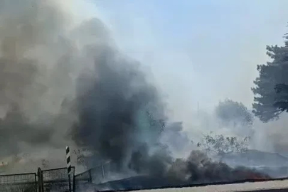 Eskişehir’de otluk alanda yangın
