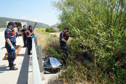 Otomobilin çarptığı bisikletli ağacın altında ölü bulundu, kaçan sürücü kısa sürede yakalandı
