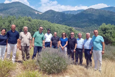 Tıbbi ve Aromatik Bitkileri yerinde inceleme
