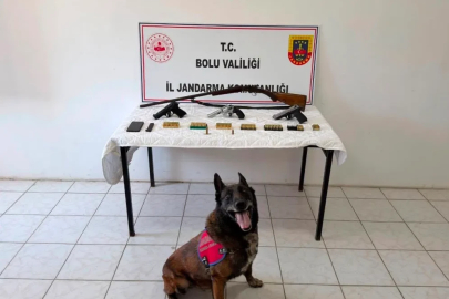 Bolu’da evinde silah ve mühimmat bulunan şüpheli tutuklandı
