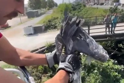 Çalıların arasına sıkışan balıkçıl kuşun imdadına itfaiye yetişti
