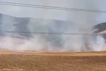 Bursa’da tarlalık alanı ateşe veren şüpheli yakalandı
