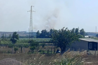 Karacabey’de makilik alanda orman yangını

