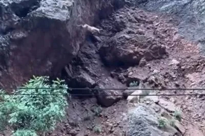 Dağ keçisi metrelerce yüksekten atladı: o anlar kamerada
