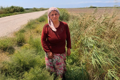 Süt satarak geçimini sağlayan kadının 2 buzağısı hastalanıp, ineği de su kanalına düşerek telef oldu
