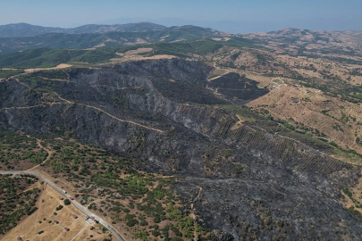 Yangının bilançosu gün ağarınca ortaya çıktı
