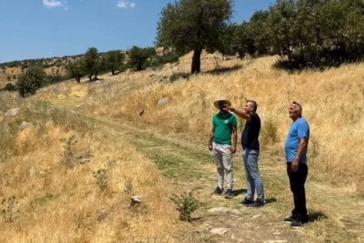 Şırnak’ta milli takım seçmeleri öncesi Namaz Dağı’nda saha incelemesi
