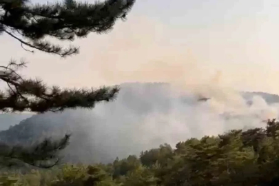 Bolu’da orman yangını
