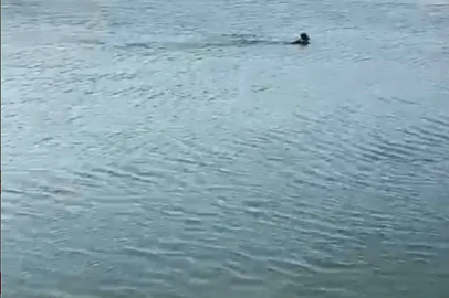 Serinlemek için girdiği göletten cansız bedeni çıktı
