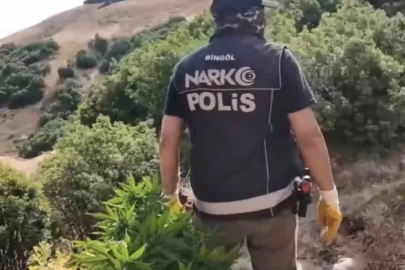 Bingöl’de uyuşturucu operasyonu: 3 şüpheli tutuklandı
