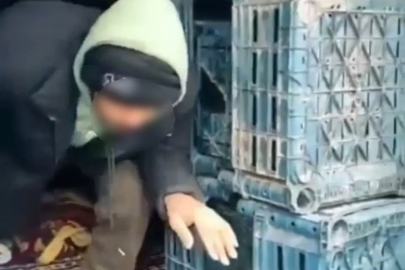 Düzce’de 7 düzensiz göçmen yakalandı
