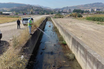 Tokat’ta sivrisinek ve haşerelere karşı kapsamlı ilaçlama seferberliği

