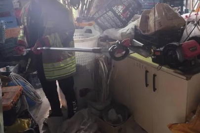 Hatay’da yerleşim yerlerine giren yılanlar yakalandı
