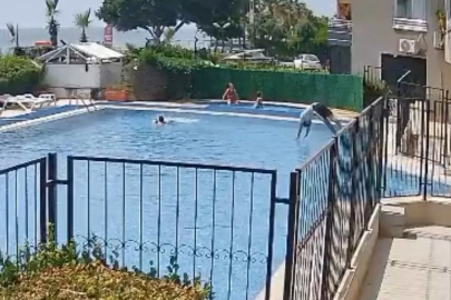 Boğulmak üzere olan çocuğu havuz görevlisi kurtardı
