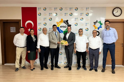AYSO’dan incirde aflatoksin riskine karşı firmalara güçlü hamle: İncir ihracatında kayıpların önüne geçilecek
