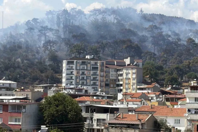 Kazdağları eteklerindeki yangına müdahale sürüyor
