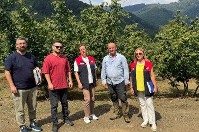Düzce’de fındık üreticilerine iyi tarım denetimi
