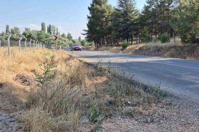 Mahalle muhtarından yol kenarlarındaki kurumuş otlar için ’yangın’ uyarısı
