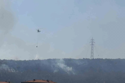Kazdağları eteklerindeki yangın Zeytinli Mahallesine doğru ilerliyor
