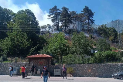 Sinop’taki orman yangınıyla ilgili 1 kişi gözaltında
