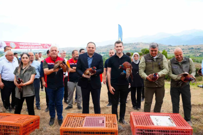 Erbaa Belediyesi’nden keneyle mücadeleye halkalı sülün ve kekliklerle destek
