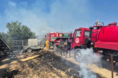 Antik kente yakın zeytinlik alanda yangında 1,25 dönüm zarar gördü
