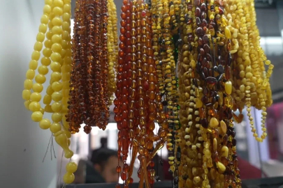 Brezilya’nın meyvesi Erzincan’da değerleniyor
