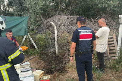 Bilecik’te ot ve çalılık yangını büyümeden söndürüldü
