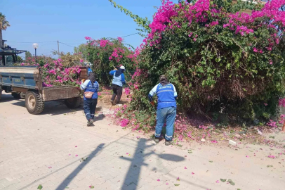 Didim Belediyesi kent genelinde ot biçme ve budama çalışmalarını sürdürüyor

