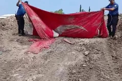 Moloz yığınları arasındaki Türk bayrağını öpüp, başına koyan polis takdir topladı
