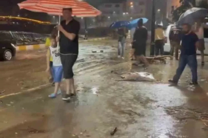 Giresun’da şiddetli yağışlar sonrası derelerin su seviyesi yükseldi
