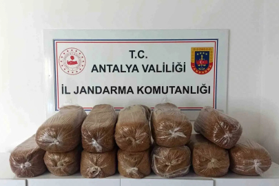 Antalya’da üç ilçede kaçak tütün operasyonu: 785 kilogram tütün ele geçirildi
