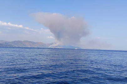 Marmaris’te orman yangını
