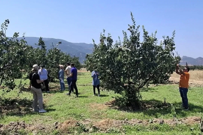 Bilecik’te bitki hastalıkları ve zararlılara karşı saha kontrolü
