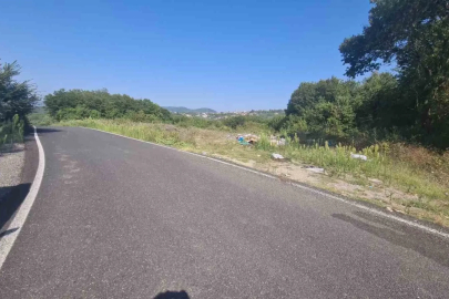 Zonguldak’ta ormanlık alana atılan cam şişeler yangın riski oluşturdu
