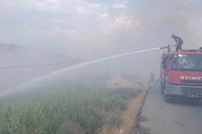 Siirt Üniversitesi Kezer yerleşkesi yakınlarında örtü yangını: 100 dönümden fazla alan zarar gördü
