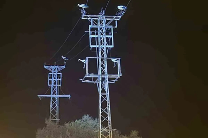 Dönüş yolundaki leyler bazı bölgeleri elektriksiz bıraktı
