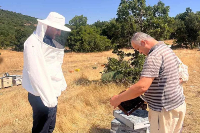 Arılı kovan tespit çalışmaları devam ediyor
