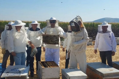 Kaymakam Özcan bal hasadına katıldı
